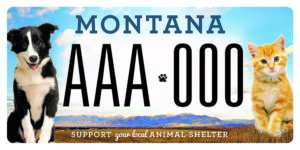 License Plate 2